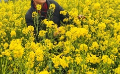 多人强上轮流内射高HNP